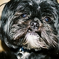 Jackson Smiles